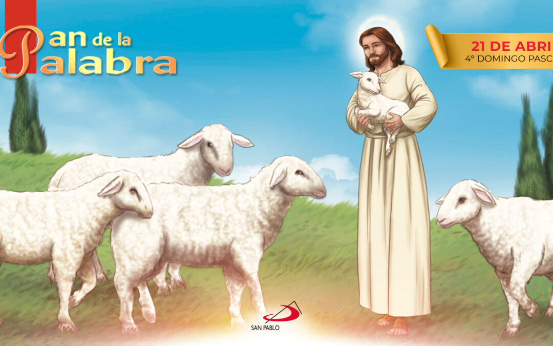 Evangelio 21 de abril 2024 – 4° Domingo de Pascua