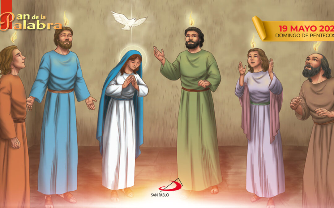 Evangelio 19 de mayo 2024 – Domingo de Pentecostés (s)